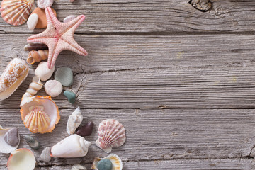 seashell and starfish on old wooden background