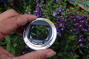 The lens adapter for macro with flowers in the garden background. 