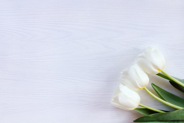  bouquet of flowers for a holiday/ Flat lay with three tulips on a wooden background top view