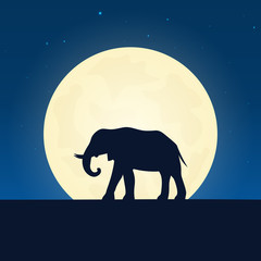 Elephant silhouette. Banner with moon on the night background. Vector illustration.