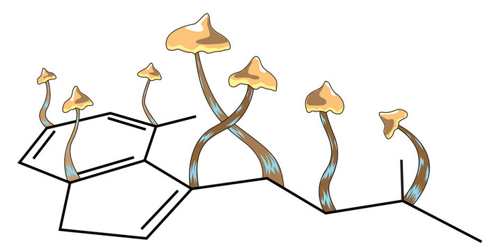 Molecule of psychotropic substance psilocybin and several fungi with hats