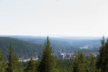 beautiful wild nature with pine forests, high mountains, distant summer clouds