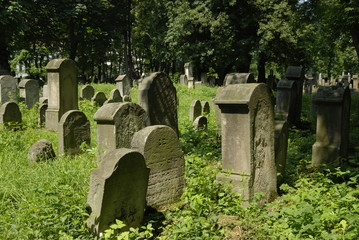Tarnow, Cmentarz zydowski.
