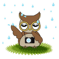 vector cartoon designs of owl bored from rainfall