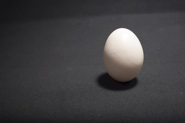 Egg standing on egg cup, isolated on white background