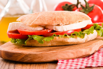 Puccia bread with mozzarella and tomato.