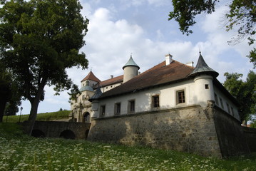 Fototapeta na wymiar Nowy Wisnicz, Zamek.