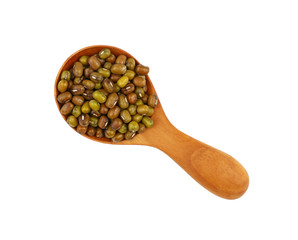 Green mung beans in wooden scoop over white