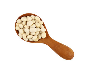 White frigole kidney beans in wood scoop on white