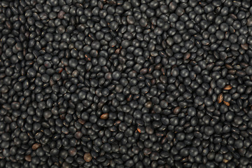 Black Beluga lentil lens close up background
