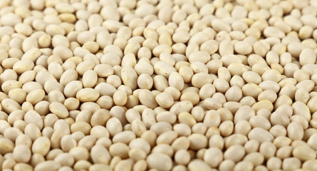 White frigole kidney beans close up background