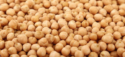 Dried chickpea beans close up background