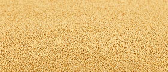 Amaranth grain seeds close up background