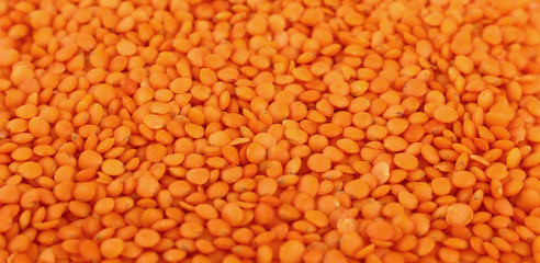 Orange lentil lens close up background
