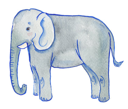 Cute cartoon elephant painted in watercolor on clean white background
