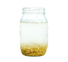 Rejuvelac, a very healthy vegan drink