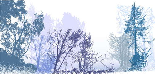 Panoramic winter forest landscape with silhouettes of snowy trees, plants and bushes. White, blue, gray and green landscape with snow, bare trees and conifers