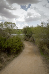 Lonely dirt road at the edge of a river next to some bushes
