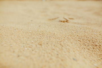 Fototapeta na wymiar sand wallpaper