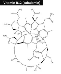 Molecular structure of cobalamin (vitamin B12)