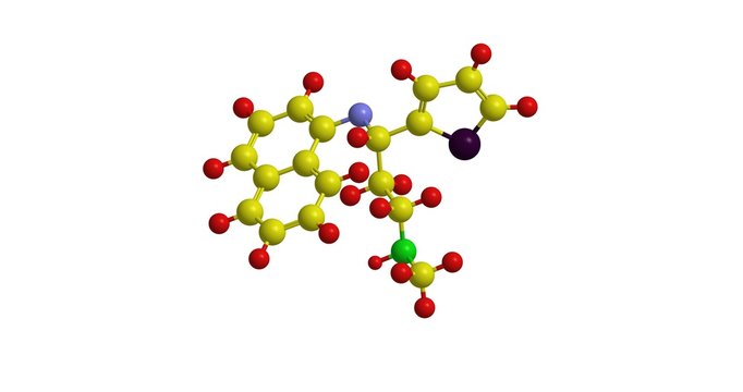 Molecular structure of duloxetine