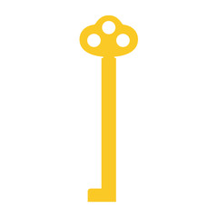 Golden key vector