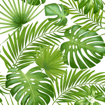 Exotic leaves, rainforest. Seamless realistic tropic leaf pattern. Vector background.
