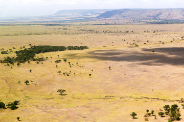 view to maasai mara savannah landscape in africa