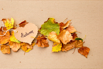 Autumn leaves on corrugated cardboard Background with heart shape tag
