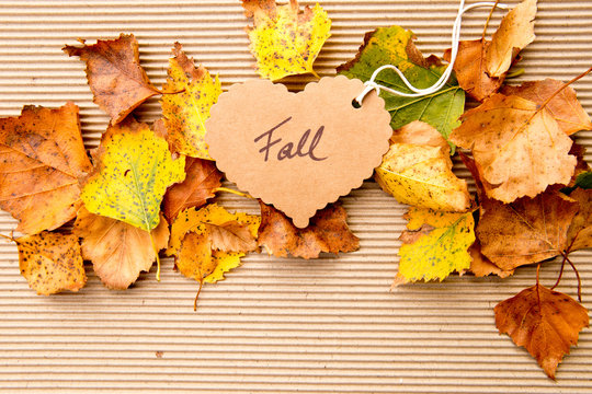 Autumn / Fall leaves on corrugated cardboard Background with heart shape tag
