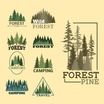 Tree outdoor travel green silhouette forest badge coniferous natural logo badge tops pine spruce vector.