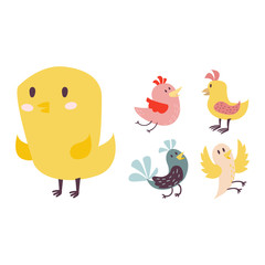 Cute birds vector set illustration cartoon colorful