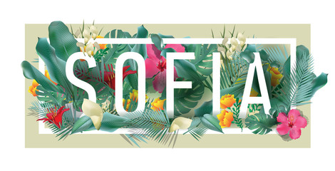 vector floral framed typographic SOFIA city artwork