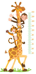 Giraffe, monkey, tiger. Meter wall or height chart