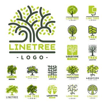 Tree outdoor travel green silhouette forest badge coniferous natural badge tops line spruce vector.