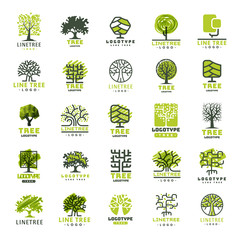 Tree outdoor travel green silhouette forest badge coniferous natural logo badge collection line spruce vector.