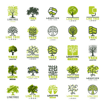 Tree outdoor travel green silhouette forest badge coniferous natural logo badge collection line spruce vector.
