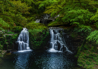 Fototapeta na wymiar 日本の滝
