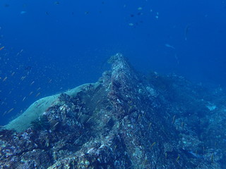Fototapeta na wymiar インド洋の海底のマッターホルン