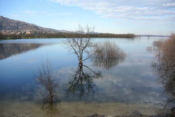 Lago junto a ciudad