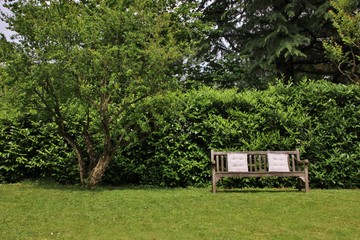 Wooden bench with pillows next to pomegranate tree in an italian garden