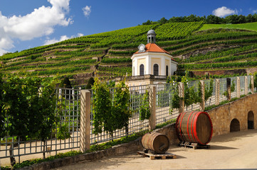 Belvedere im Park von Schloß Wackerbarth in Radebeul, Sachsen, Deutschland, Europa