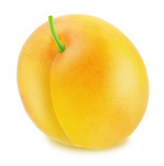 Ripe yellow plum with stem. Full depth of field