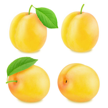 Set of ripe yellow plums isolated