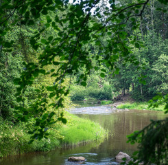 Fototapeta na wymiar Landscape with river and lush trees at summer time
