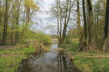 Bogenseekette vor den Toren von Berlin