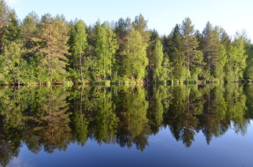 Fototapeta na wymiar Reflection in the river