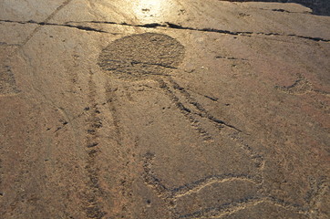 Fototapeta na wymiar Petroglyphs on Lake Onega.Karelia Russia