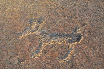 petroglyphs on lake Onega karelia russia