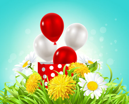 box with balloons in the grass with daisies and dandelions
